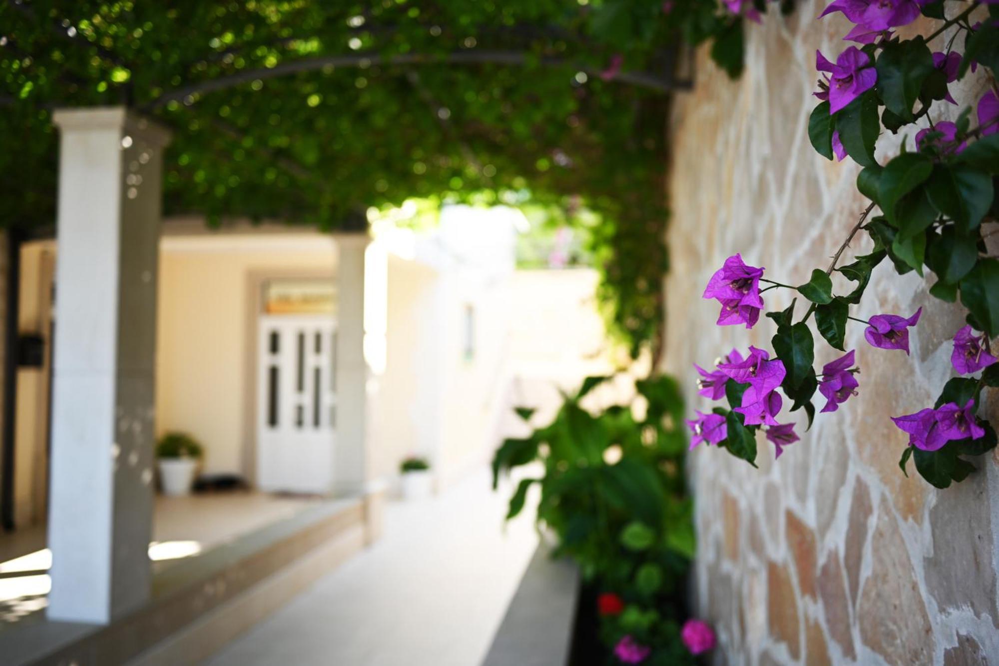 Hvar Villa Malisko Apartments Hvar Town Buitenkant foto