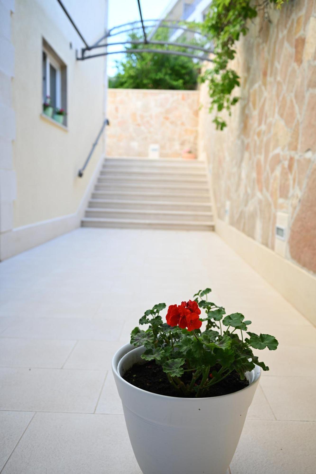 Hvar Villa Malisko Apartments Hvar Town Buitenkant foto